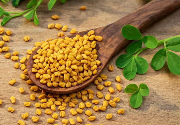 fenugreek